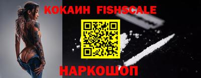крисы Моздок