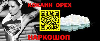 крисы Моздок