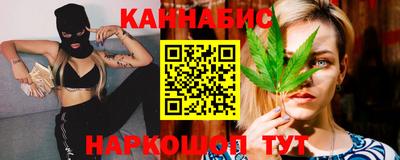 крисы Моздок