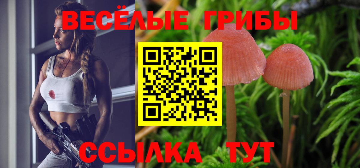 Псилоцибиновые грибы MAGIC MUSHROOMS Туймазы